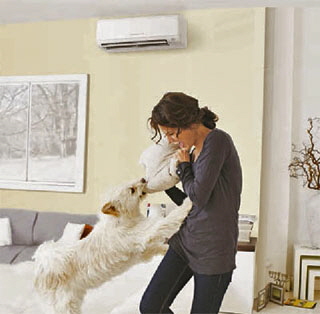 Energy Efficient AC